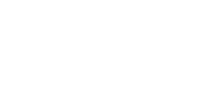 Pace University