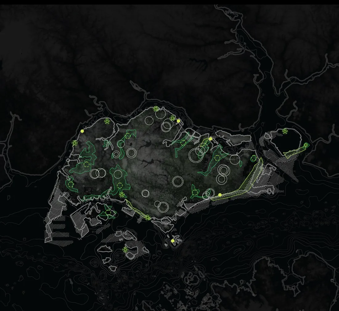 Analytical map of Singapore in green, marking the island's remaining ecosystems and ecotones — mangrove, coastal forest and intertidal fragments — as scattered patches around the edges.