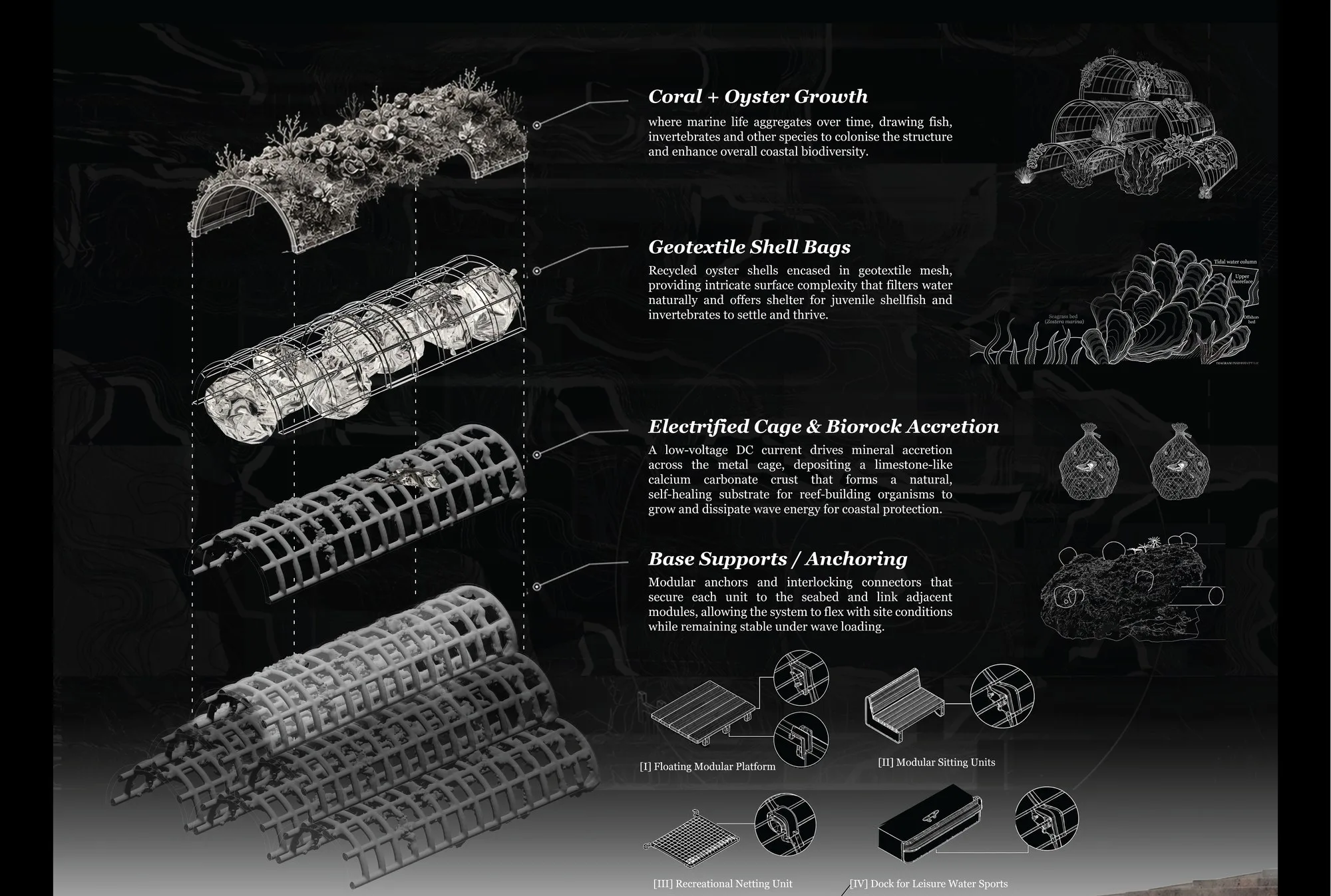 Exploded axonometric drawing of one reef module, separated into four labelled layers: coral and oyster growth on top, geotextile shell bags beneath it, the electrified steel cage with Biorock accretion, and the base supports and anchoring at the seabed.